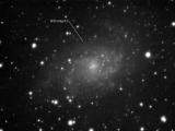 M 33 Galaxy in Triangulum